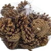 Merkloos Kerststukjes>Zak Met 200 Gram Decoratie Dennenappels Bruin - Kerststukje/Herfststukje Versiering - Dennenappeltjes