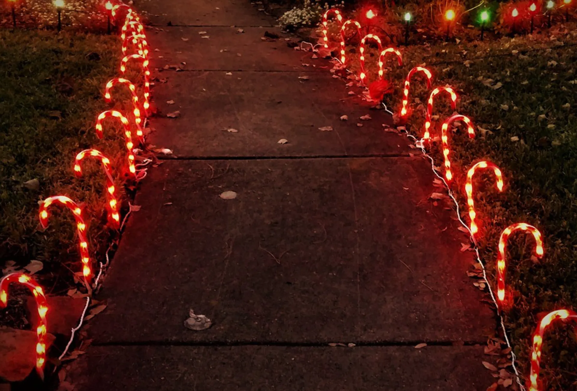 WT trading Zuurstok Kerstverlichting – 10 Zuurstokken – Inclusief Grondpennen Flash Sale